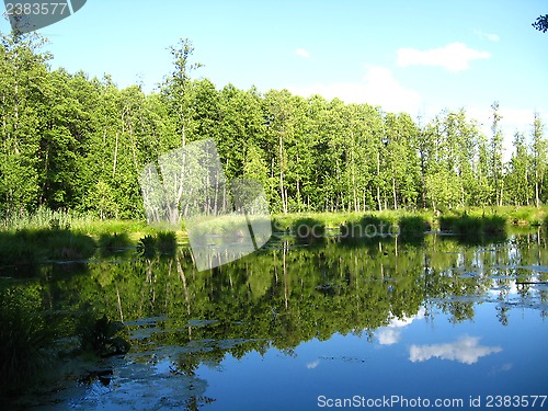 Image of Picturesque lake