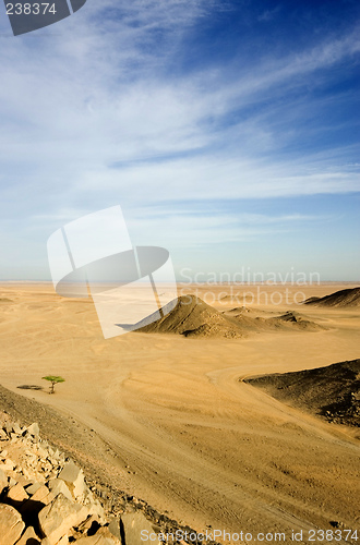 Image of Desert