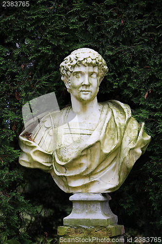 Image of Marble bust