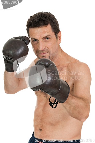 Image of adult smiling man boxing sport gloves boxer isolated