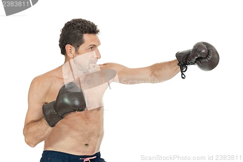 Image of adult smiling man boxing sport gloves boxer isolated