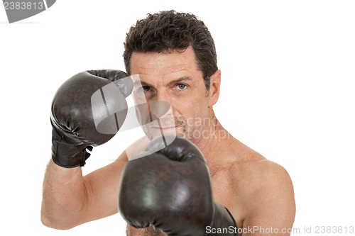 Image of adult smiling man boxing sport gloves boxer isolated