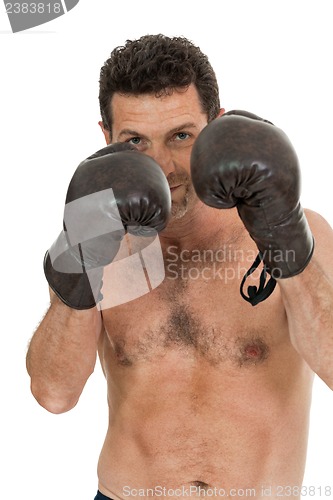 Image of adult smiling man boxing sport gloves boxer isolated