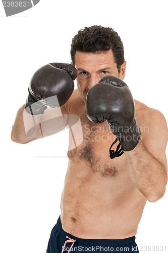 Image of adult smiling man boxing sport gloves boxer isolated