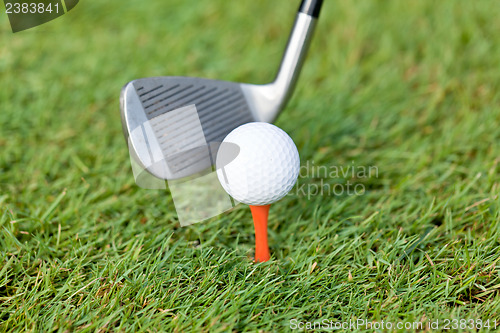 Image of golf ball and iron on green grass detail macro summer outdoor