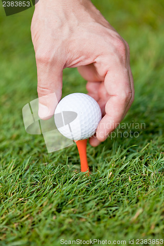 Image of golf ball and iron on green grass detail macro summer outdoor