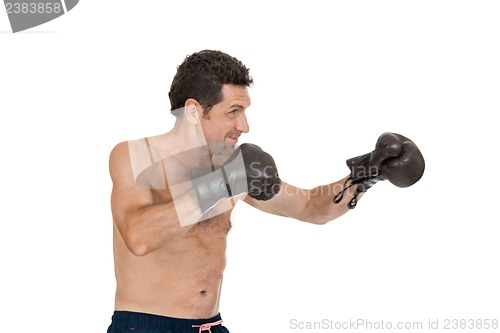 Image of adult smiling man boxing sport gloves boxer isolated