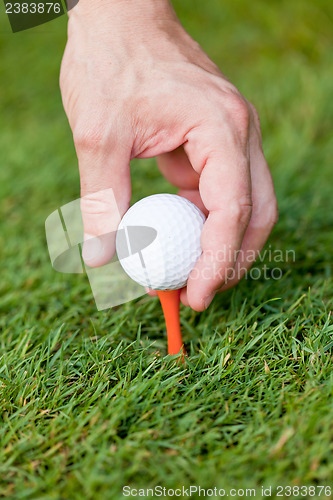 Image of golf ball and iron on green grass detail macro summer outdoor