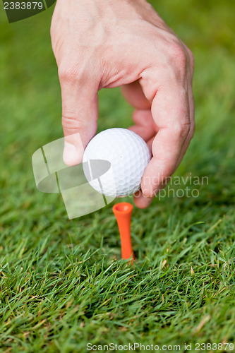 Image of golf ball and iron on green grass detail macro summer outdoor