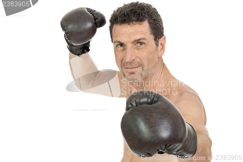 Image of adult smiling man boxing sport gloves boxer isolated