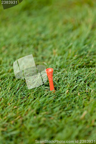 Image of golf ball and iron on green grass detail macro summer outdoor