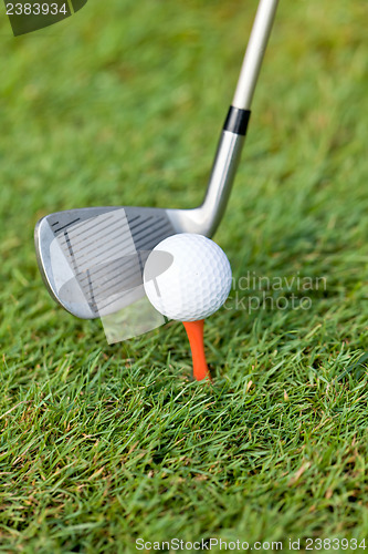 Image of golf ball and iron on green grass detail macro summer outdoor