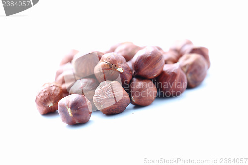 Image of hazelnut