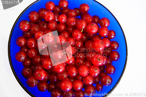 Image of Currants in blue bowl