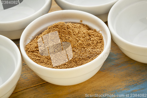 Image of camu fruit powder 