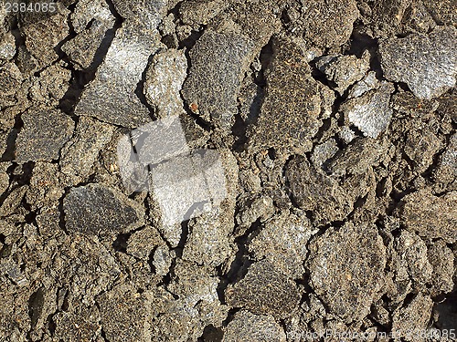 Image of Sunflower oilcake pieces