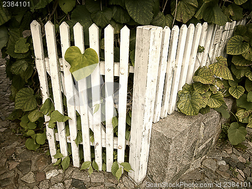 Image of Garden gate retro