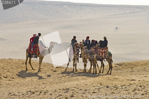 Image of Camel ride