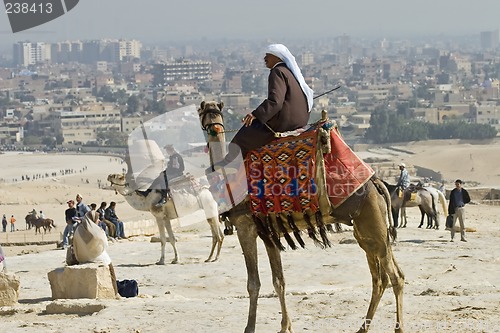 Image of Camel ride