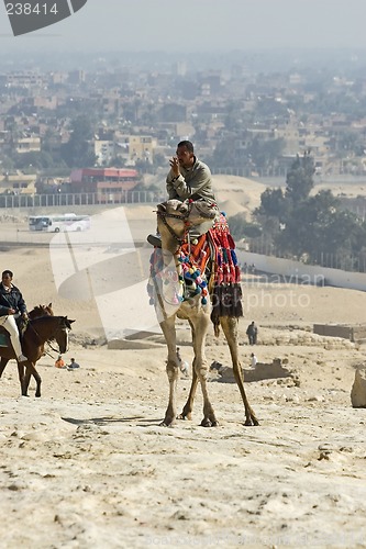 Image of Camel ride