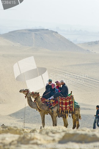 Image of Camel ride