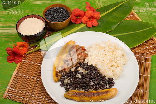 Image of Pabellon criollo