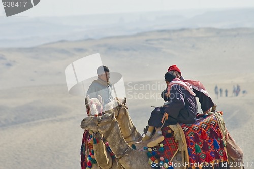 Image of Camel ride