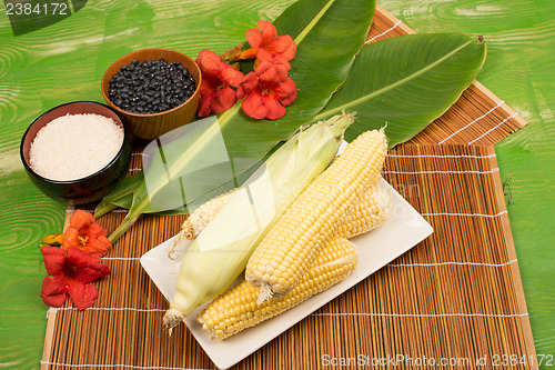 Image of Corn on the cobg