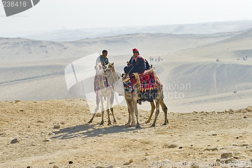 Image of Camel ride