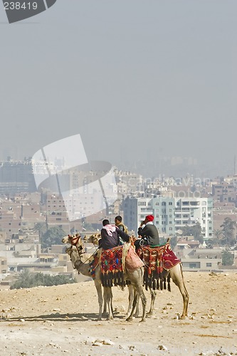 Image of Camel ride