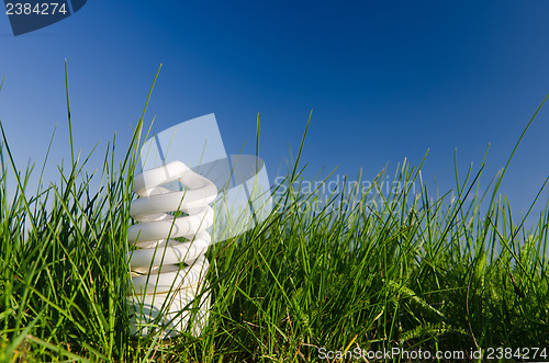 Image of energy saving lamp in green field
