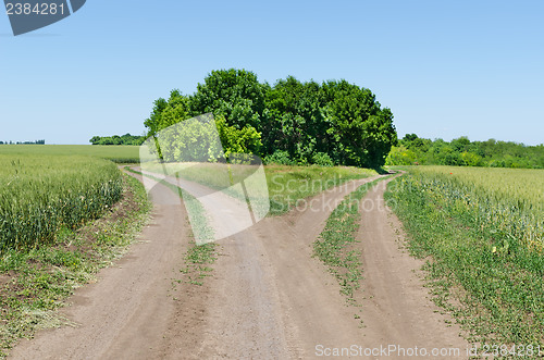 Image of two rural road beetwen fields