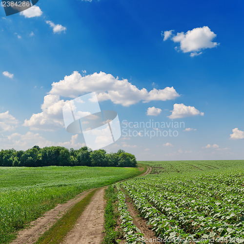 Image of rural road in green fields and cloudy sky