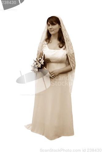 Image of Isolated Sepia Grazing Bride