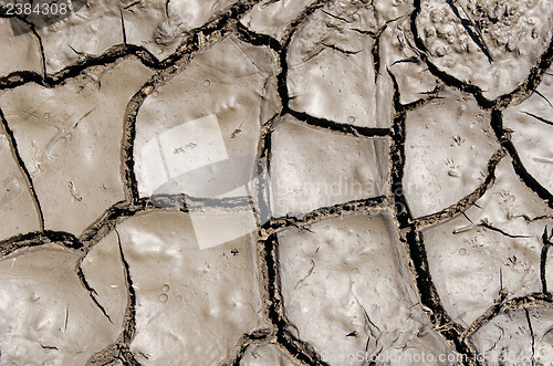 Image of wet earth as texture