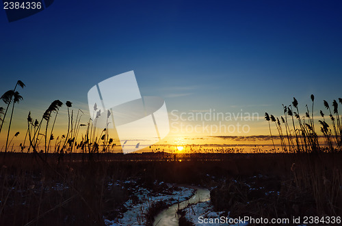 Image of sunset over river with canes