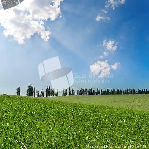 Image of green fields under cloudy sky