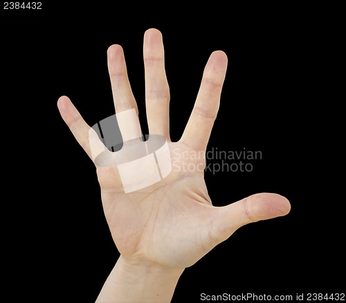 Image of White hand on black