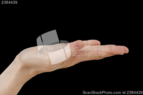 Image of White hand on black