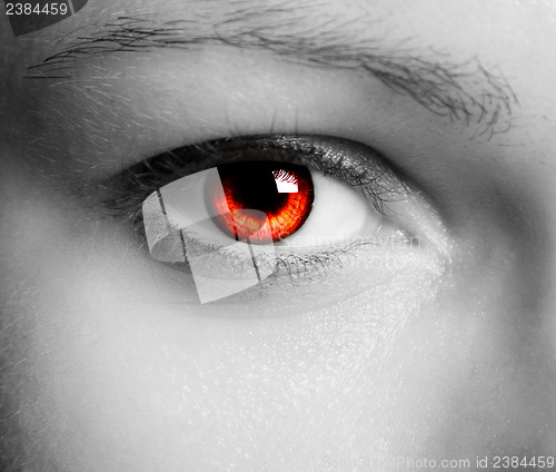 Image of Beautiful eye 