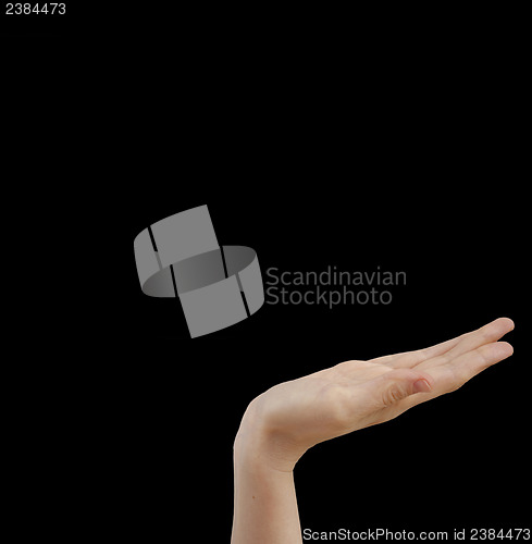 Image of White hand on black