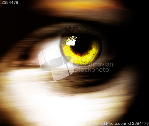 Image of Beautiful eye 