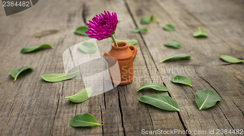 Image of Flower Pot