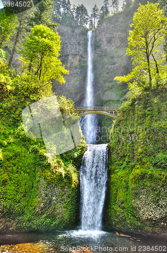 Image of Multnomah falls and bridge in the morning sun light