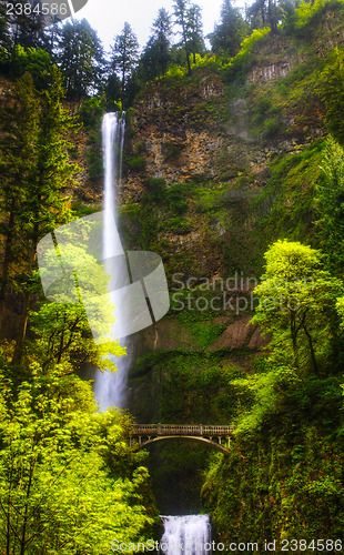 Image of Multnomah falls and bridge in the morning sun light