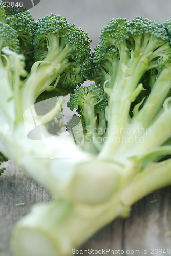 Image of Broccoli