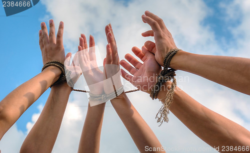 Image of Three pairs of human hands tied up together