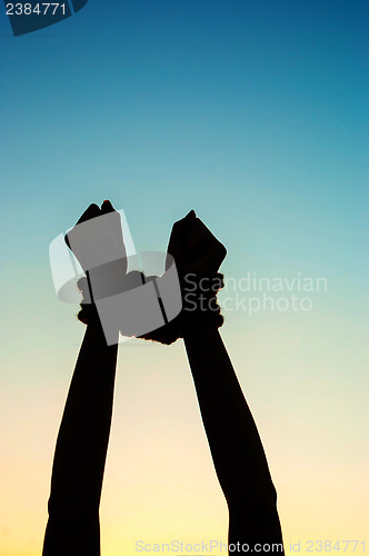 Image of Hands tied up with rope