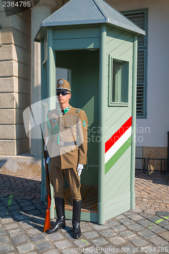 Image of Guard of honor in Budapest, Hungary