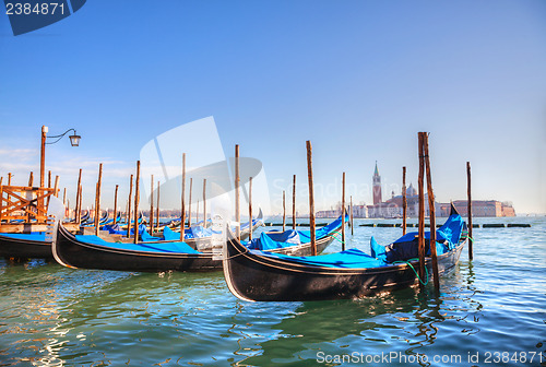 Image of Gondolas floating in the Grand Canal